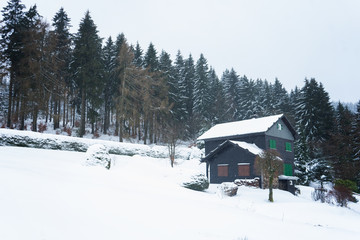 Fototapeta na wymiar Landhouse in the woods with snow