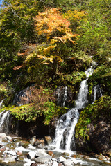 water fall in autumn, sunny day