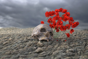 red poppy grows out from human skull
