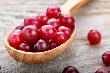 Fresh red forest cranberry in a spoon