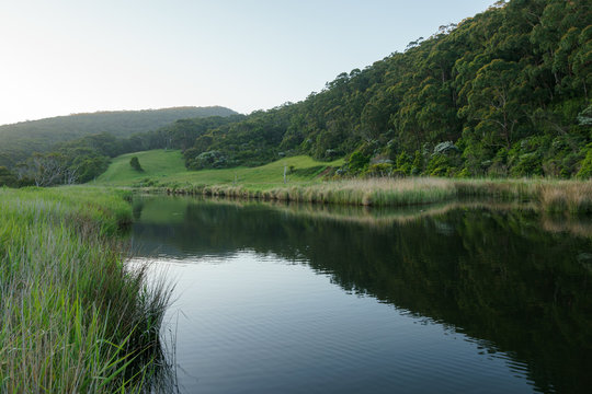 Der Kennett River Fluss in Australien an der Great Ocean Road ist umgeben von gr&uuml;nen Weldern und Wiesen