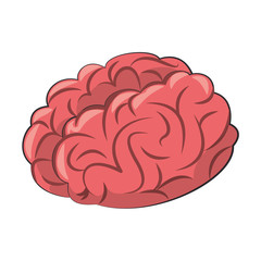 Human brain intelligence and creativity cartoons