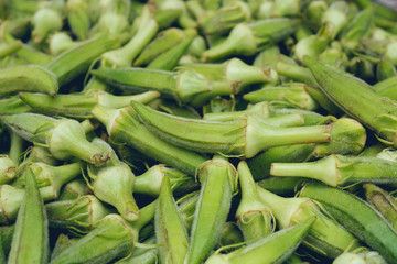 Beautiful Fresh Green Okra Background.