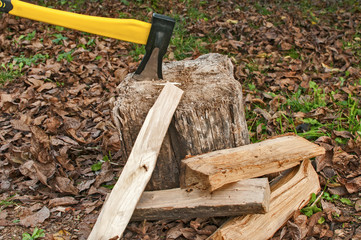 Two axes with steel blades stuck in old stump on autumn dry leaves background