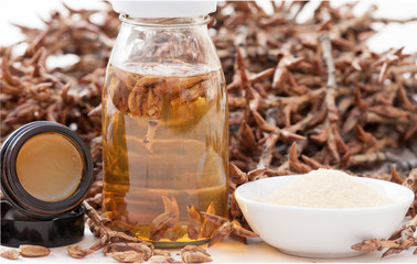 Pappelknospen, Pappelcreme, Pappelzucker, Pappeltinktur