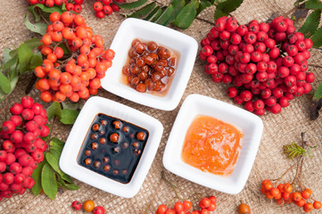 verschiedene Zubereitungen mit Früchten der Eberesche