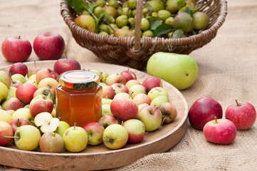 gesammelte wilde Bio-Äpfel und Birnen mit einem Glas Apfelgelee