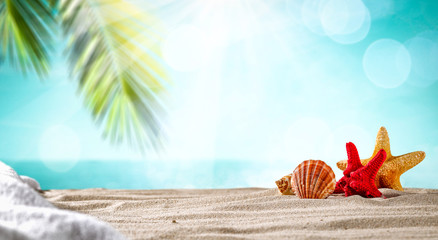 Fototapeta na wymiar Summer background of beach with shells on sand and summer sunny day. 