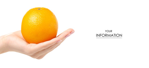 Orange in hand fruit pattern on a white background isolation
