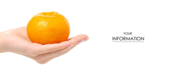 Orange in hand fruit pattern on a white background isolation
