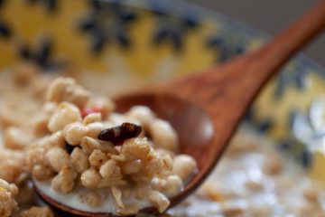 フルーツグラノーラ