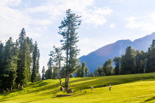 Stunning photograph of Kashmir valley (Paradise on Earth). Beautiful view of Betaab Valley surrounded by snow frozen Himalayas glacier mountains and green fir and pine tree line forest landscape.