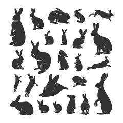 Fototapeta na wymiar Set of Rabbit Design Vector. Silhouette of Rabbit. Vector illustration