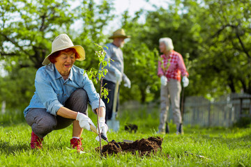 Cute retired woman wearing hat digging ground near tree