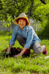 Red-haired retired woman feeling happy after planting tree