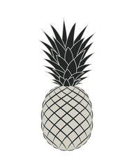 Pineapple graphic icon. Tropical fruit symbol. Pineapple sign isolated on white background. Vector Illustration 