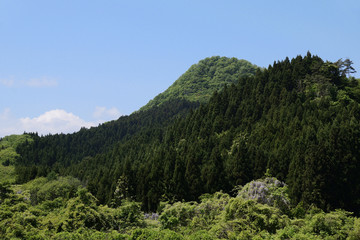 Fototapeta na wymiar Deep green forest. Mt.Taihaku san. Another name is “Sendai fuji” and “Natori fuji”.
