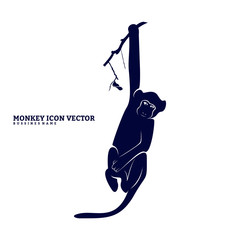 Monkey Design Vector. Silhouette of Monkey. Vector illustration © shuttersport