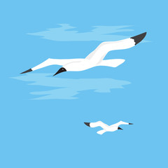 Obraz premium Two seagulls soar in the blue sky. Vector illustration.