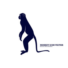 Monkey Design Vector. Silhouette of Monkey. Vector illustration