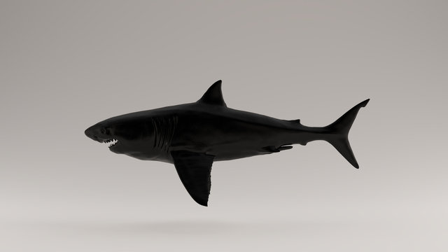 Black Great White Shark Left View 3d Illustration 3d Render