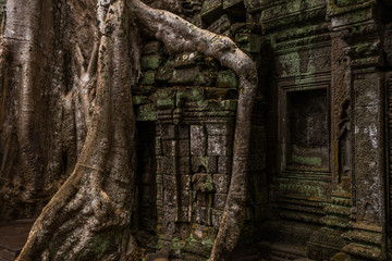 Prasat Ta prohm temple, in Siem reap, Cambodia