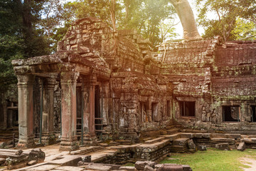 Obraz premium Prasat Ta prohm temple, in Siem reap, Cambodia