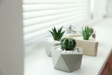 Window with blinds and potted plants on sill