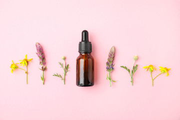 Bottle of essential oil and wildflowers on color background, flat lay