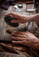 Cigar rolling or making by torcedor in cuba