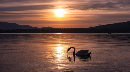 jezioro żywieckie © kamil