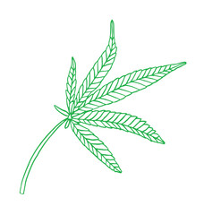 Decorative green illustration leave of big hemp