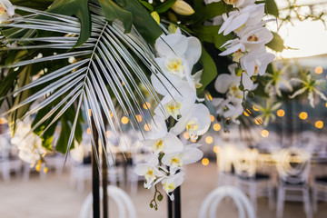 Orchids in the wedding decoration