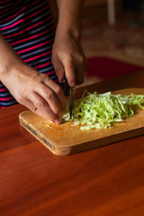Housewife making a salad from fresh healthy vegetables. Young woman making salad