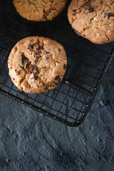 Cookies with chocolate chips and hazelnuts, on metal grill, made with oatmeal and wheat flour.