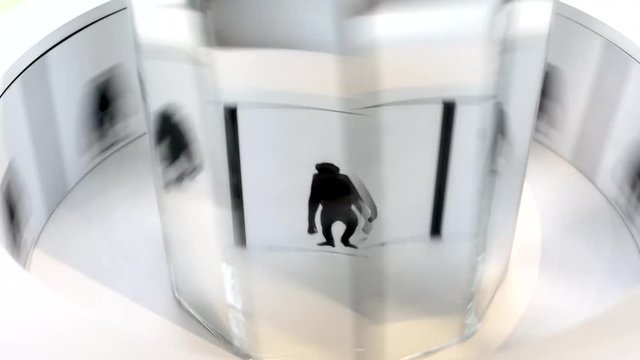 This close up video shows a spinning glass animation of a primate walking.