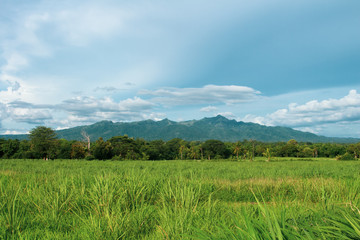 Obraz premium Nice view plains in Tuy, Batangas, Philippines. landscape background