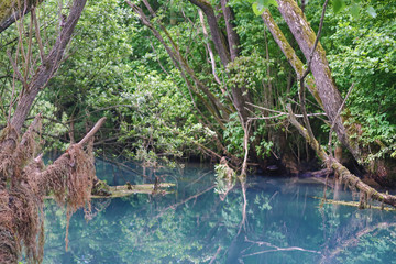 Amazingly beautiful mountain's spring with heavenly blue water color and small waterfall named Krupajsko Vrelo (spring of Krupaj), near Krupaja village, Eastern Serbia 