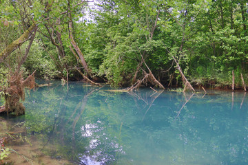 Amazingly beautiful mountain's spring with heavenly blue water color and small waterfall named Krupajsko Vrelo (spring of Krupaj), near Krupaja village, Eastern Serbia 
