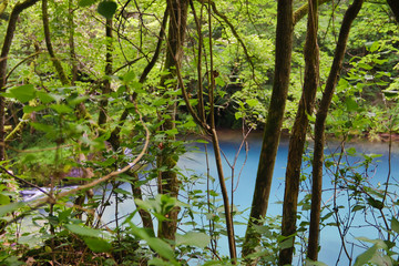 Amazingly beautiful mountain's spring with heavenly blue water color and small waterfall named Krupajsko Vrelo (spring of Krupaj), near Krupaja village, Eastern Serbia 