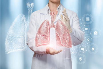 A medical worker shows human lungs . - obrazy, fototapety, plakaty