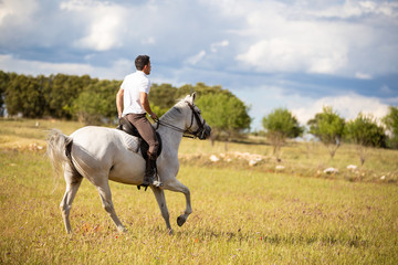 Back view of young male riding white horse in grassy meadow on cloudy day in countryside