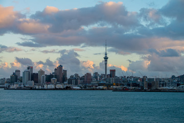 Obraz premium New Zealand Auckland Skyline