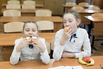 Two schoolgirls, one of whom is a vegetarian. Teen girls having lunch in school class. One girl is...
