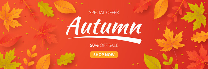Autumn sale background with leaves. Can be used for shopping sale, promo poster, banner, flyer, invitation, website or greeting card. Vector illustration