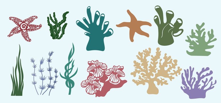 algae, corals, Kelp, (laminaria, Macrocystis, Brown alga, rockweed, Fucus, Posidonia). Vector illustration. Set of paper marine animals stickers. Laser cut. Set template for laser cutting, Plotter and