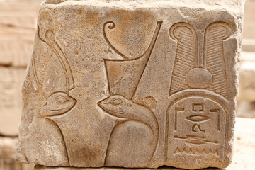 Egyptian Hieroglyphs in Luxor Temple, Luxor, Egypt