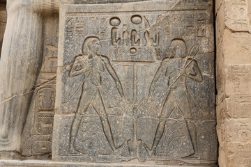 Egyptian Hieroglyphs in Luxor Temple, Luxor, Egypt