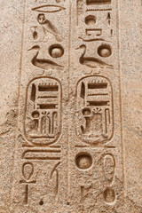 Egyptian Hieroglyphs in Luxor Temple, Luxor, Egypt