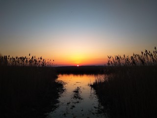 Obraz premium Wonderful evening on the river